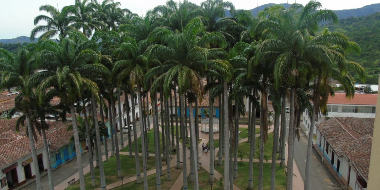 Parque Principal - Alcaldía municipal